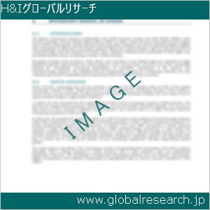 グローバルリサーチ調査レポートのイメージ